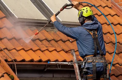 Démoussage et hydrofuge de toiture à Irigny